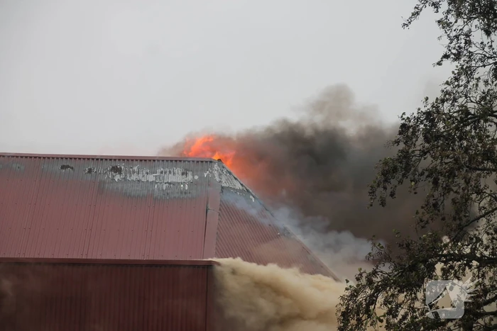 Sporthal Optisport De Schelft verwoest door brand