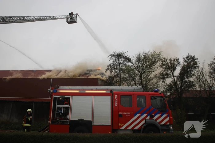 Sporthal Optisport De Schelft verwoest door brand