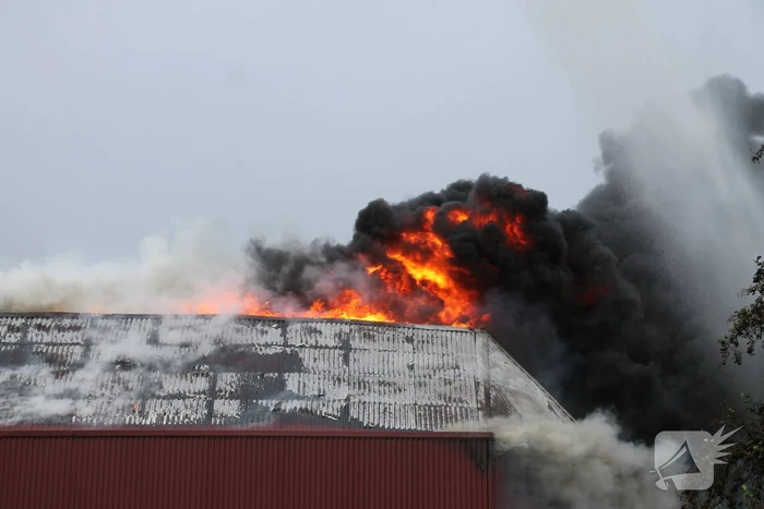Sporthal Optisport De Schelft verwoest door brand