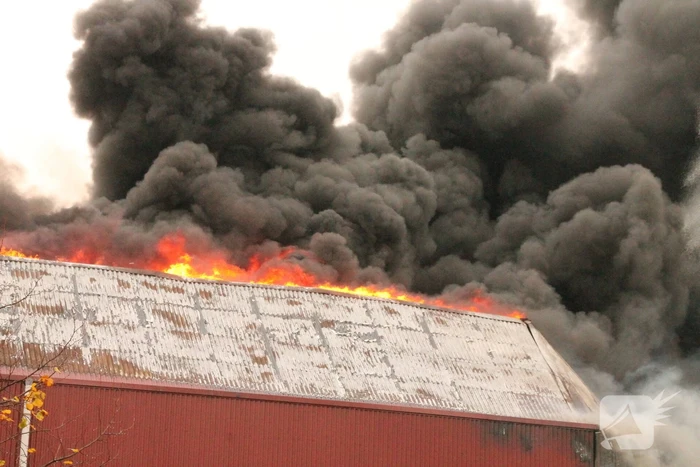 Sporthal Optisport De Schelft verwoest door brand
