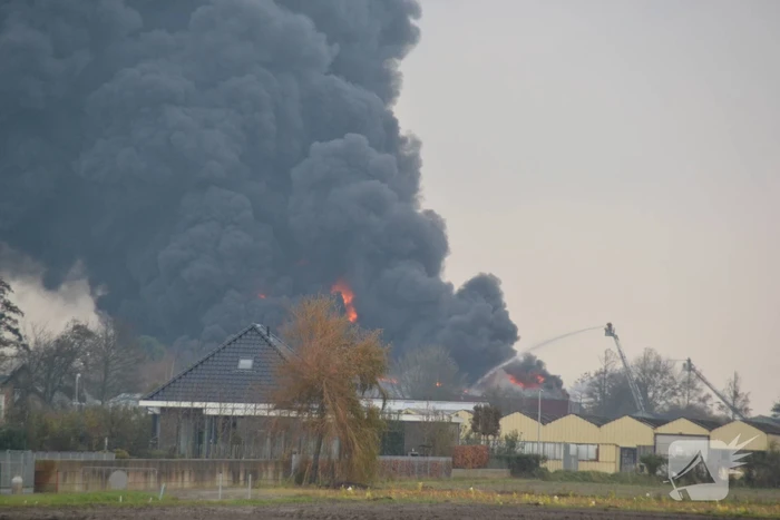Sporthal Optisport De Schelft verwoest door brand
