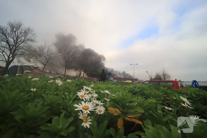 Sporthal Optisport De Schelft verwoest door brand