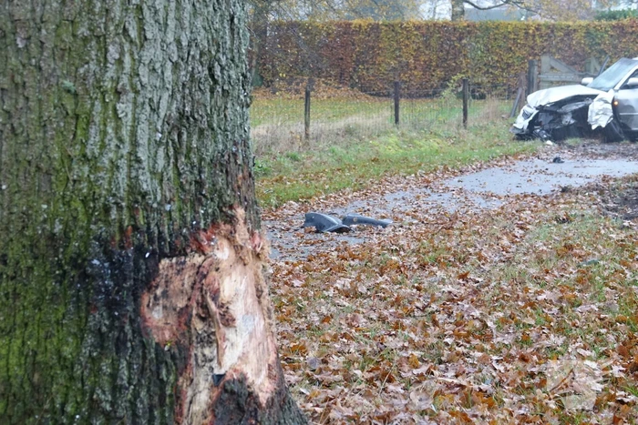 Auto knalt op boom