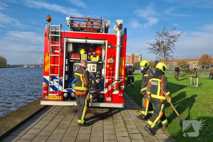 Boom mogelijk in brand door vuurwerk