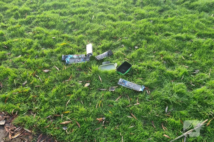 Boom mogelijk in brand door vuurwerk