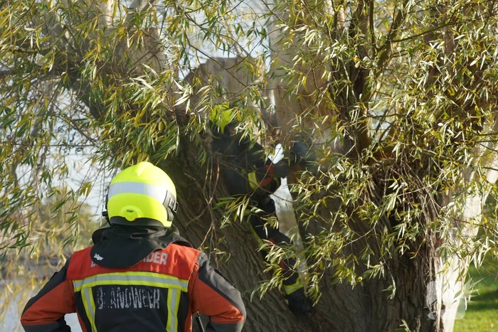 Boom mogelijk in brand door vuurwerk