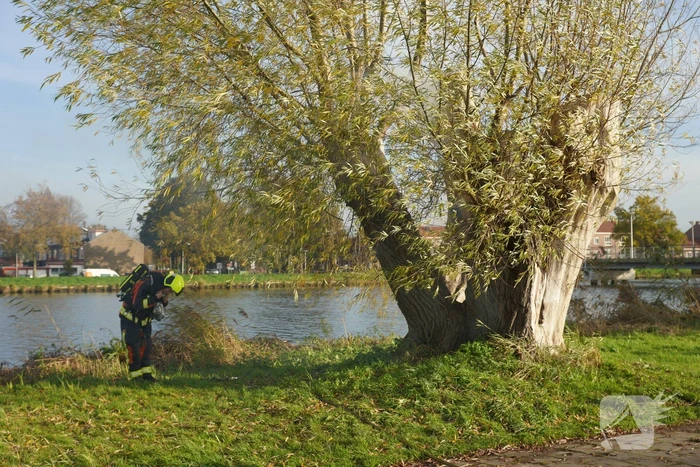 Boom mogelijk in brand door vuurwerk