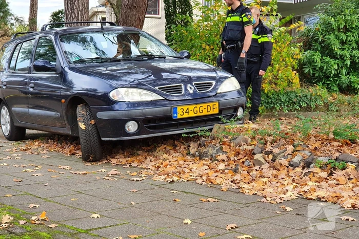 Automobilist verliest macht over het stuur en rijdt tegen gevel