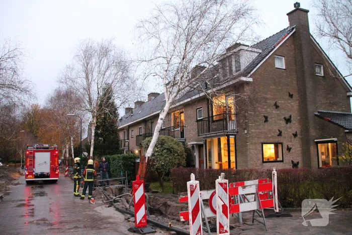 natuur frans halslaan oegstgeest