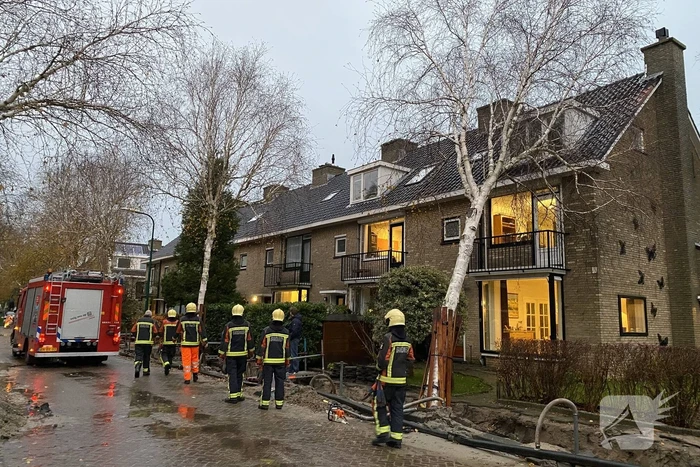 Bomen dreigen tegen woningen te vallen