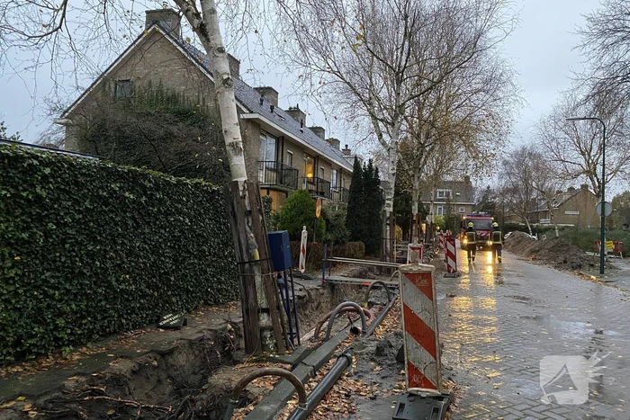 Bomen dreigen tegen woningen te vallen