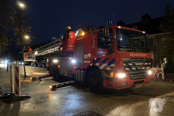 Bomen dreigen tegen woningen te vallen