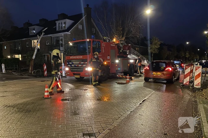 Bomen dreigen tegen woningen te vallen