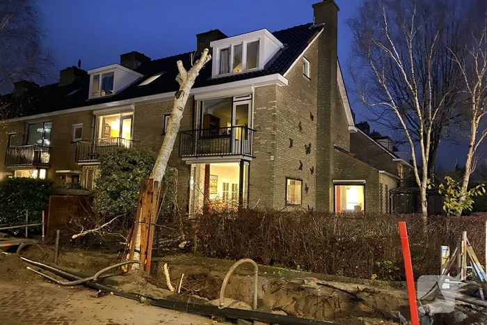 Bomen dreigen tegen woningen te vallen