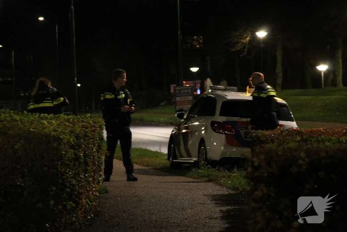 Automobilist verliest macht over het stuur en belandt in struiken