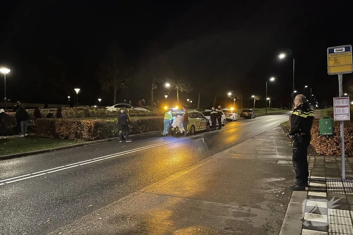 Automobilist verliest macht over het stuur en belandt in struiken