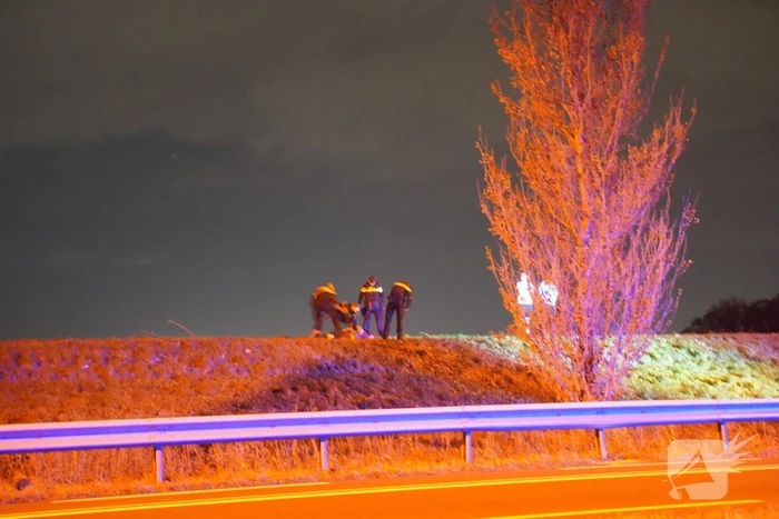 Verward persoon van de weg gehaald
