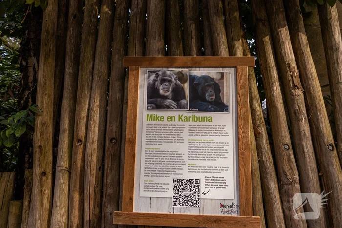 Dierenpark Amersfoort heeft haar deuren weer geopend