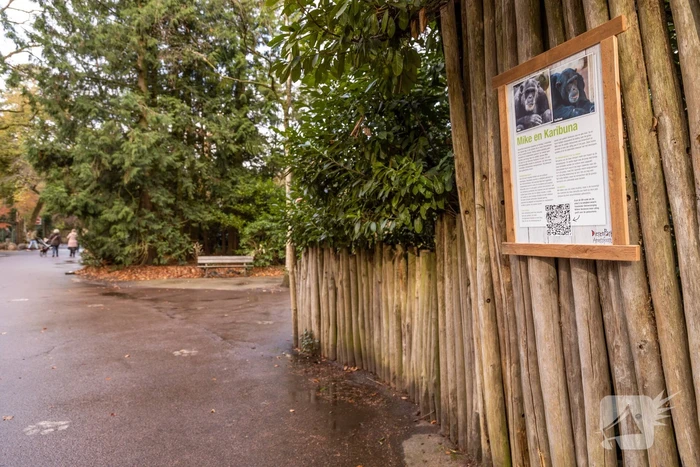 Dierenpark Amersfoort heeft haar deuren weer geopend