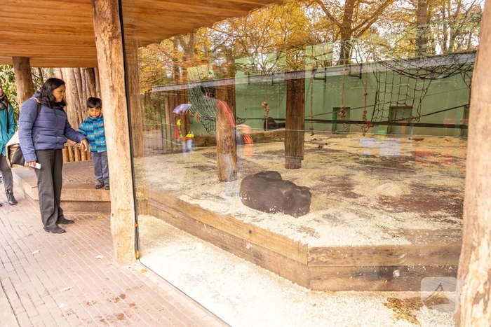 Dierenpark Amersfoort heeft haar deuren weer geopend