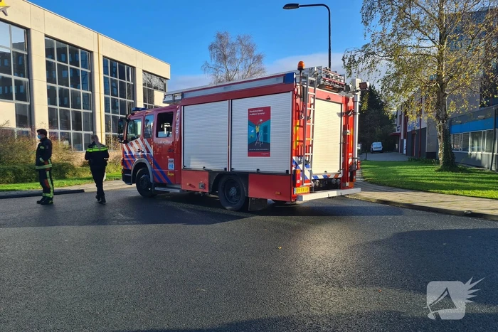 Auto belandt in bosschage na aanrijding