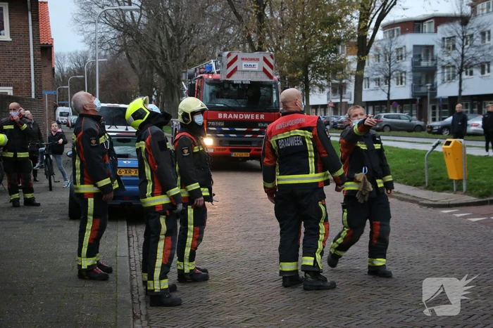 Brandweer red kat uit boom