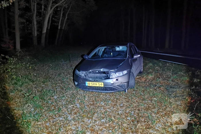 Wild zwijn overleden na aanrijding met auto