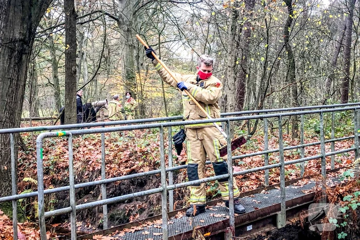 Paard glijdt uit op gladde loopbrug