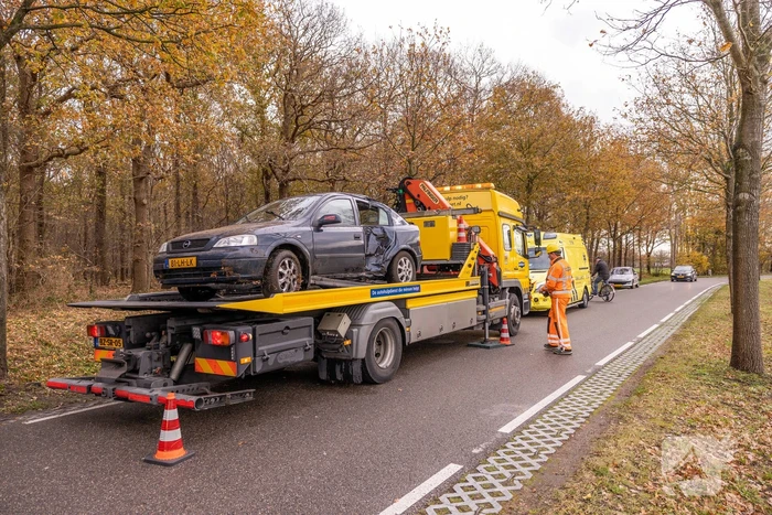 Auto vliegt uit de bocht en knalt tegen boom