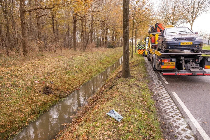 Auto vliegt uit de bocht en knalt tegen boom
