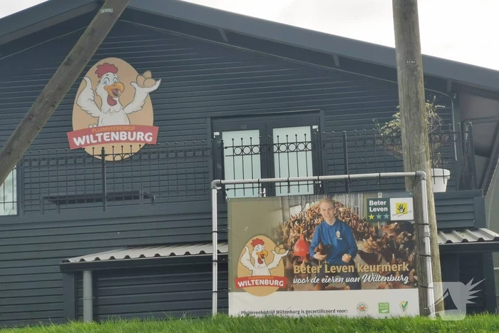 Wederom vogelgriep bij pluimveebedrijf