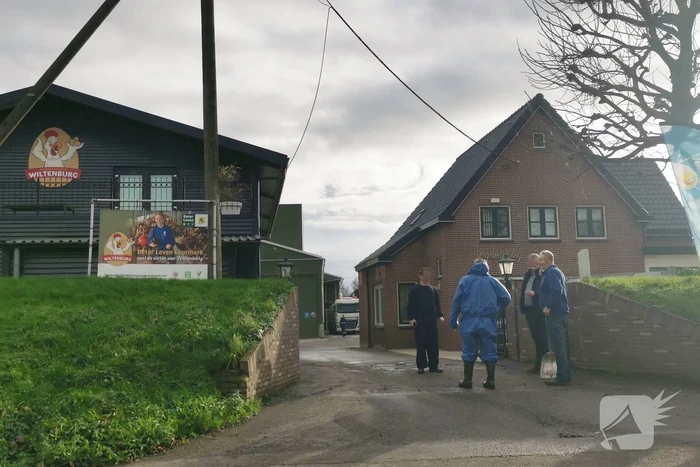 Wederom vogelgriep bij pluimveebedrijf