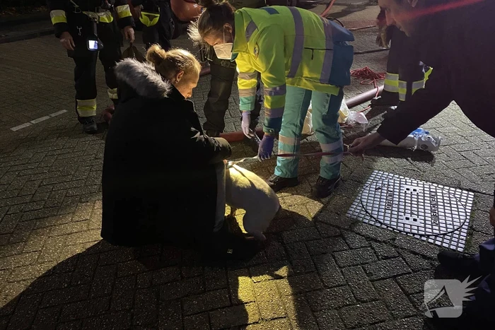 Gewonde bij uitslaande brand in flat