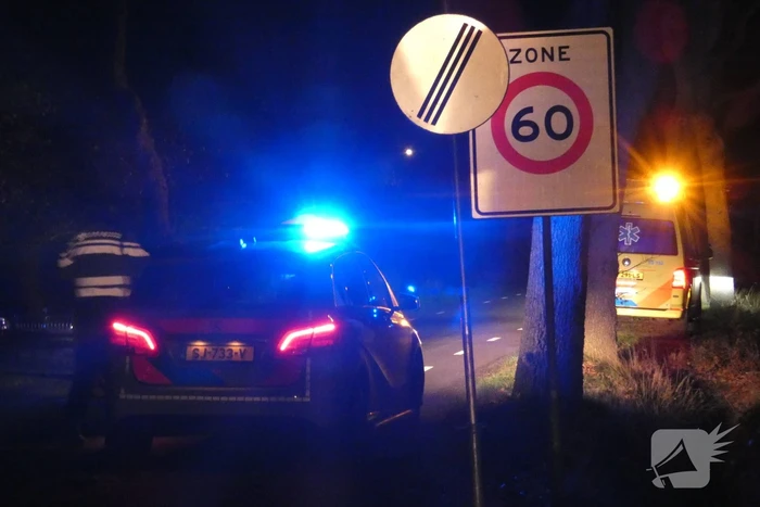 Auto botst op boom