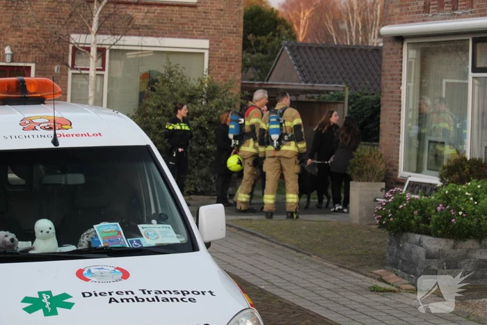 Schoorsteenbrand snel onder controle