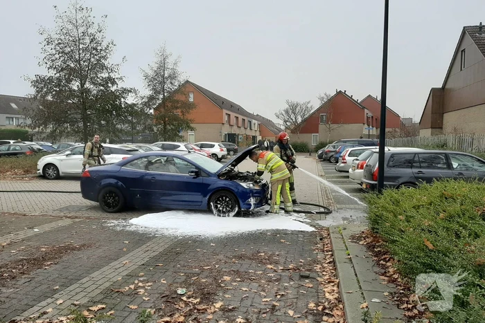 Auto met pech vliegt in brand