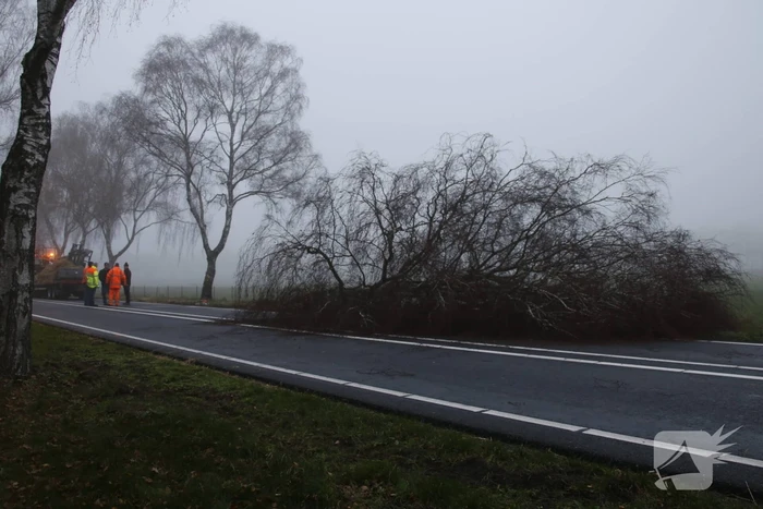 Vrachtwagen met aanhanger met hooi ramt boom