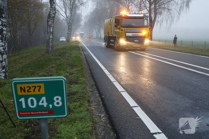Vrachtwagen met aanhanger met hooi ramt boom