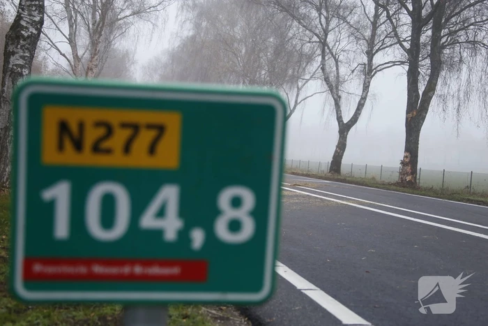 Vrachtwagen met aanhanger met hooi ramt boom