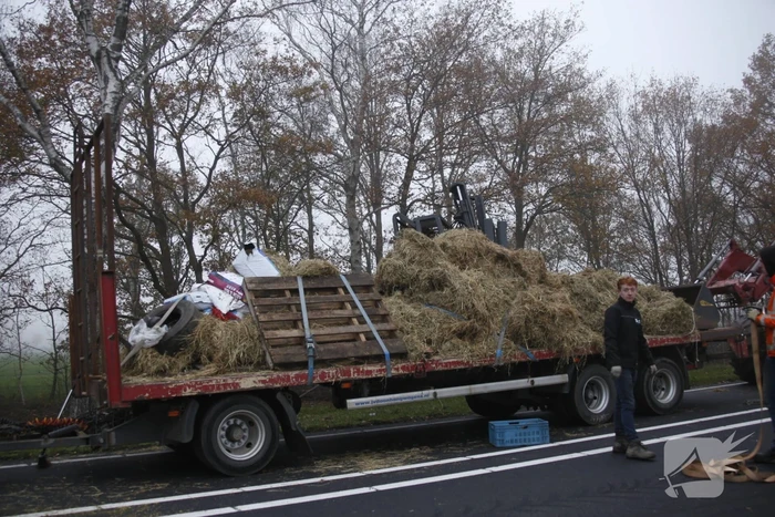 Vrachtwagen met aanhanger met hooi ramt boom