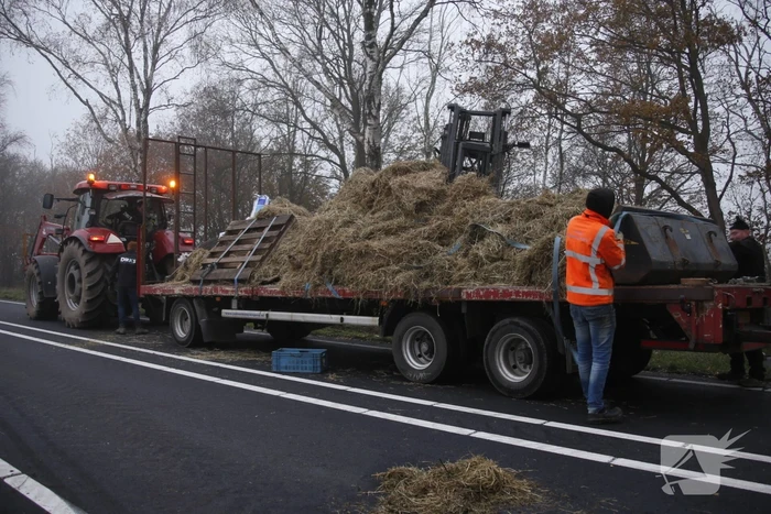 Vrachtwagen met aanhanger met hooi ramt boom