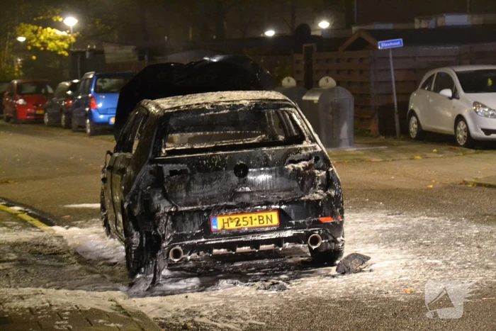 Geparkeerde auto brandt volledig uit