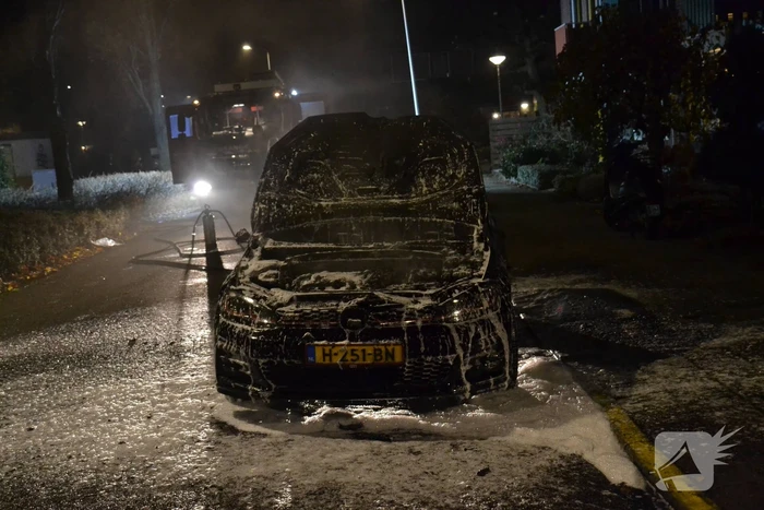 Geparkeerde auto brandt volledig uit