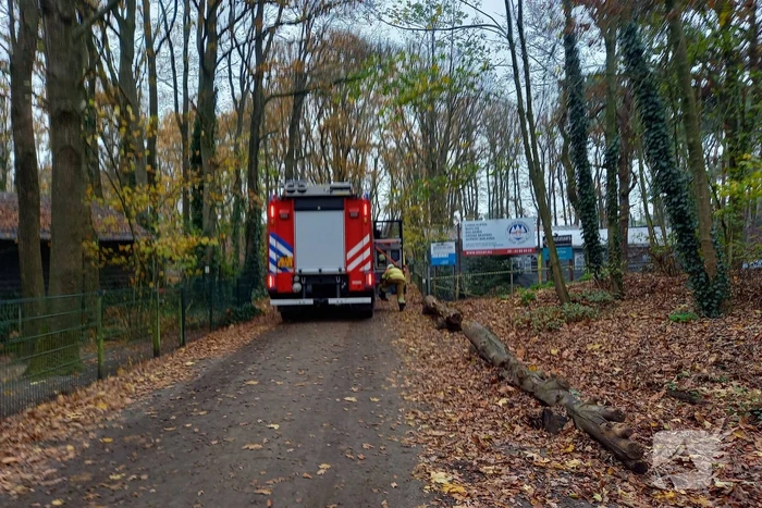 Persoon gewond na val van paard