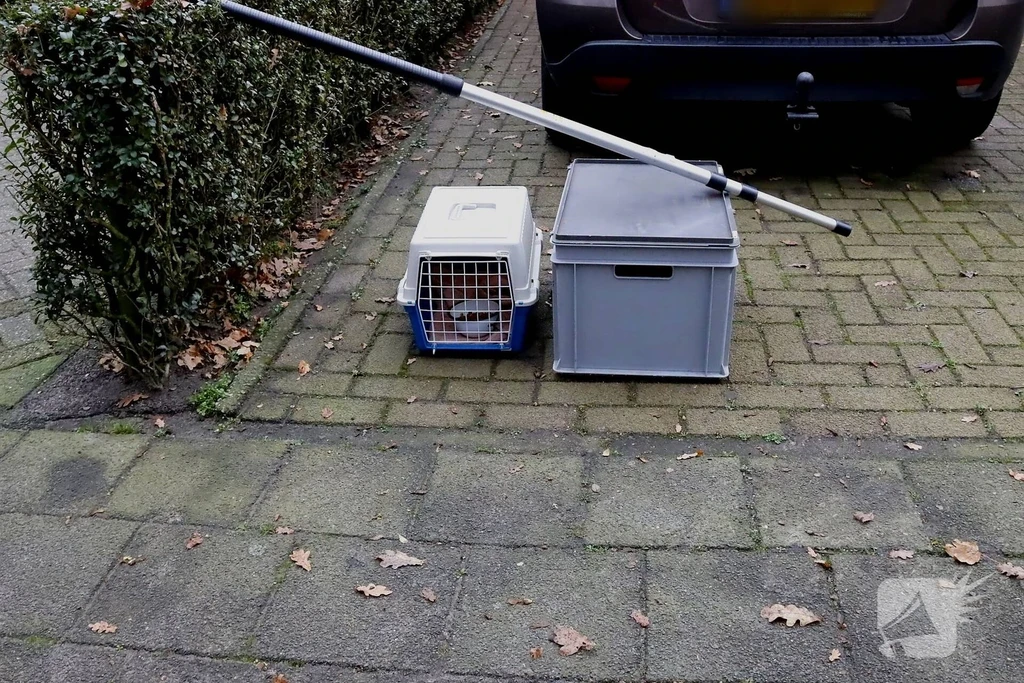 Leeuweriklaan 112 melding Boekel 