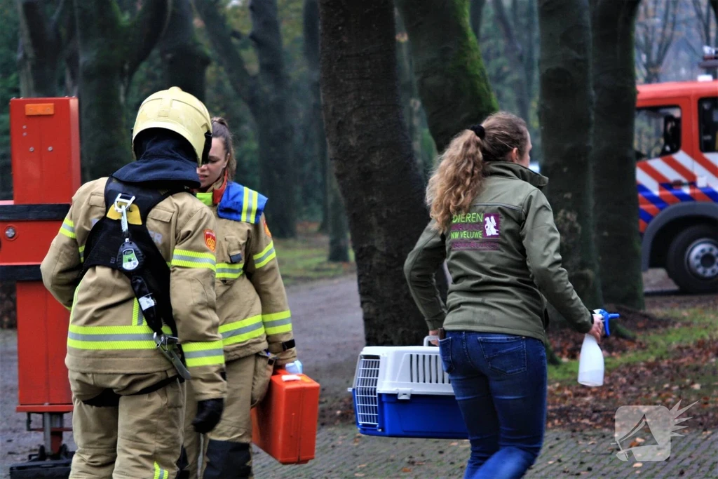 Linnaeuslaan 112 melding Harderwijk 