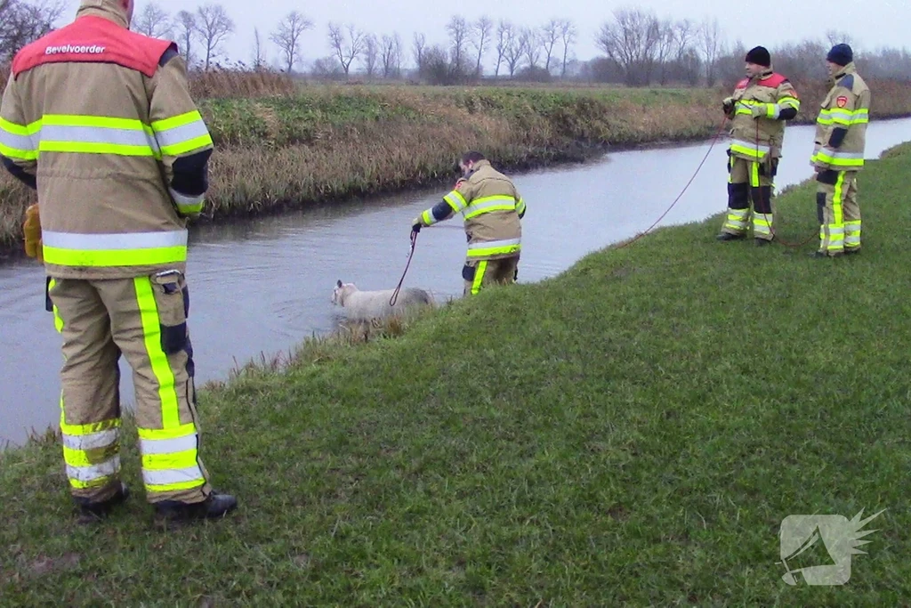 Steendertse Uitweg 112 melding Ophemert 
