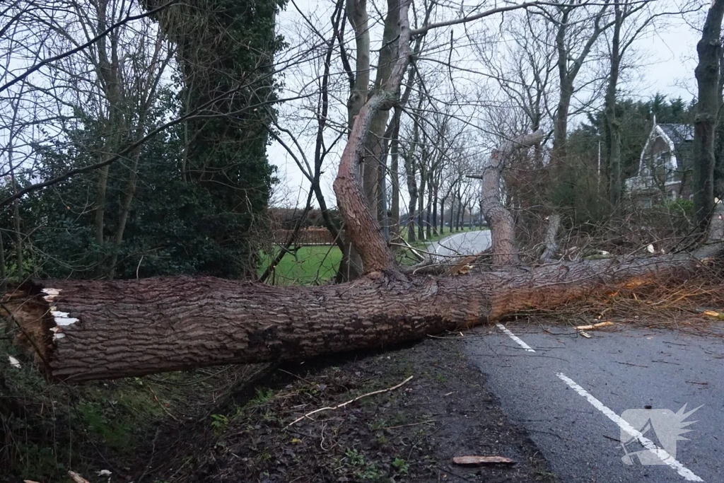 Donkereweg Noordgouwe 112 