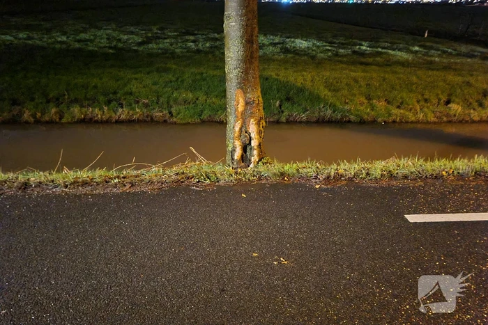 Bestuurder gaat er vandoor bij eenzijdig ongeval