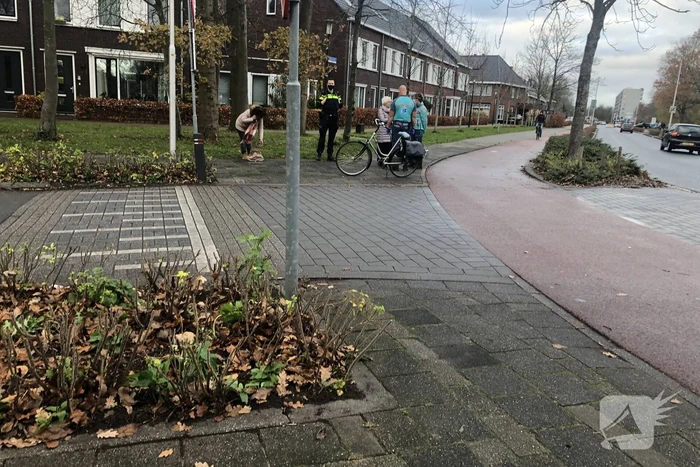 Fietsster gewond bij botsing met bestelbus